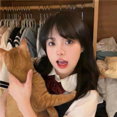 兔年