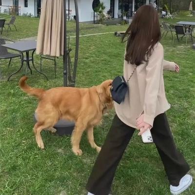 年轻的战场
