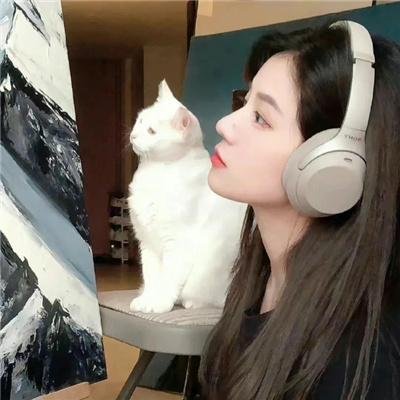 招惹玫瑰